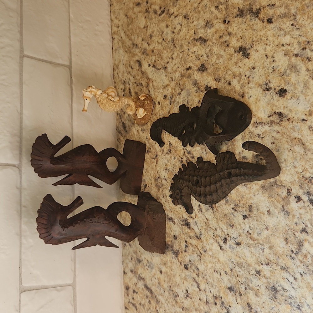 Seahorse Collection